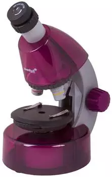 Levenhuk LabZZ M101 Kinder-Mikroskop Amethyst, monokular, 40–640x LED (69139)