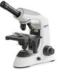 KERN OBE 131, Kern OBE 131 OBE 131 Durchlichtmikroskop Monokular 1000 x...