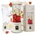 BlendyGo 3 USB Smoothie Maker