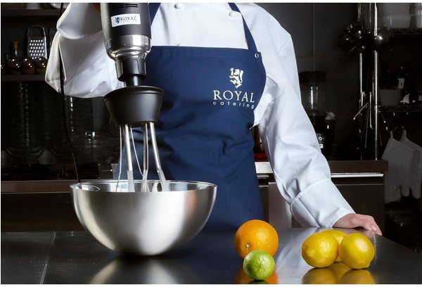 Stabmixer Ausstattung & Eigenschaften Royal Catering RCSM-500-WP