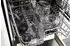 Kenwood CHP 62.400SI Easy Chop+