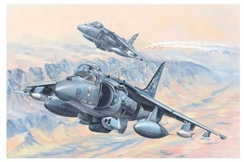 HobbyBoss McDonnell AV-8B Harrier II Aircraft (81804)