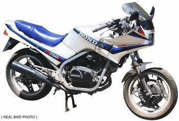 Hasegawa VT250F 1984 1/12 Honda (621514)