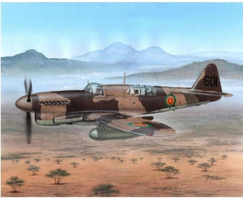 Special Hobby 100-SH48151 - Fairey Firefly FR Mk.I Foregin Post War in 1:48