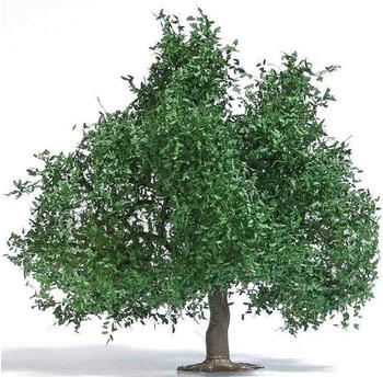 Busch Obstbaum kleine Eiche 95 mm Sommer H0 (3662)