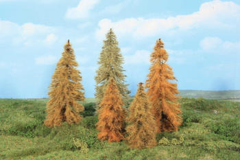 Heki 5 Lärchen herbstlich 14-18 cm H0/TT/N (2179)