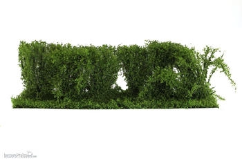 Silhouette Hecke Frühling H0/0 (254-31)