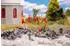 Faller H0 (1:87) 151724 Rettungsschwimmer