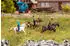 Faller H0 (1:87) 151746 Ross und Reiter