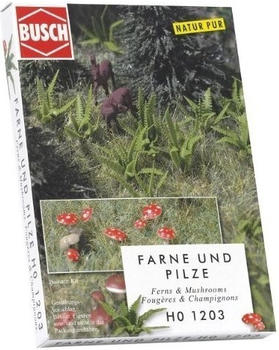 Busch Farne und Pilze (1203)