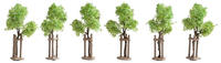 NOCH 21538, NOCH 21538 Baumpackung Jungbaum 40mm (min) 6St.