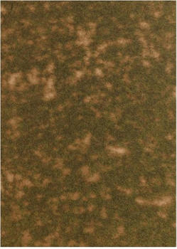 Busch Groundcover-Bodendecker: Spätsommergras (1304)