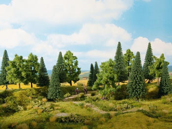 Noch Mischwald (24620) Noch Mischwald (24620)
