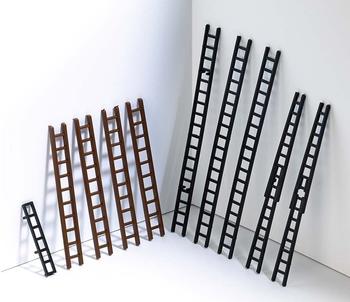 Busch Modellbau - Leitern-Set (7786)