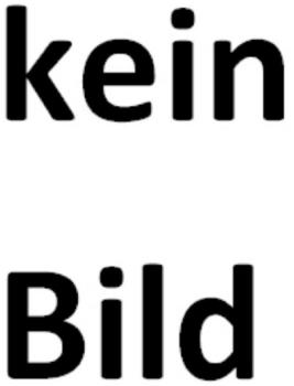 Solido KS-R 2022 grün 1:18 (S1810502)