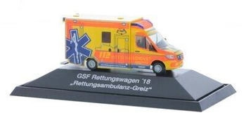 Rietze GSF RTW ´18 Rettungsambulanz Greiz (76175)