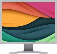 Eizo LED-Monitor "FlexScan S2134" 54 cm/21 &Prime; 1600 x 1200 px UXGA 6 Reaktionszeit 60