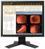 EIZO Radiforce MX191