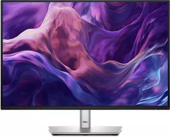 Dell P2425E