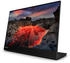Lenovo ThinkVision M14t Gen 2