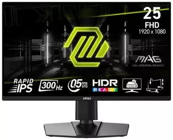 MSI MAG 255PXF