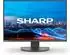Sharp MultiSync EA241W