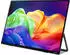Acer ProDesigner PE160WUT