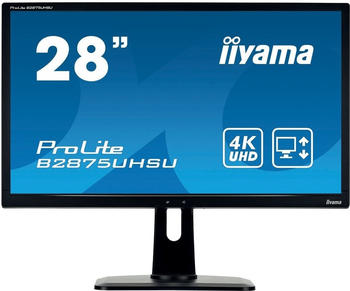 Iiyama ProLite B2875UHSU-B1