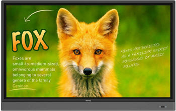 BenQ RP653K