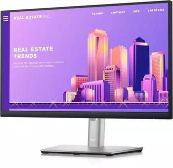 Dell P2422H