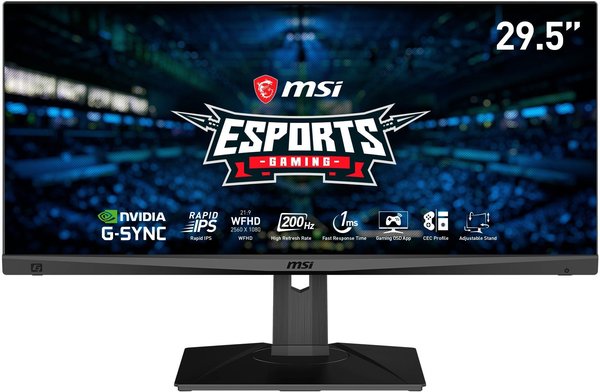 Gaming Monitor Konnektivität & Display MSI Optix MAG301RFDE