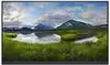 Dell P2422HEWO