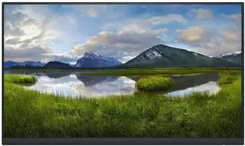 Dell P2422HEWO