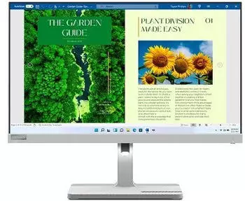 Lenovo L24m-40