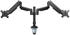 InLine Tischhalterung mit Lifter beweglich für zwei Monitore bis 82cm (32