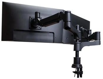 R-Go Tools Caparo 4 D2 (Tisch 26") Monitor Halterung Schwarz Silber