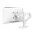 Ergotron LX Pro Monitorarm Single Display Tall Pole, weiß (45-695-290)