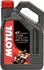 Motul 7100 4T 10W-60
