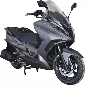 Alpha Motors Sport Cruiser 300 grau (125 km/h)