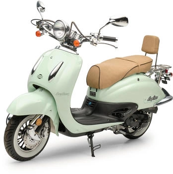 Burnout Trade EasyCruiser Eco 50ccm Mint (45 km/h)