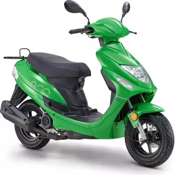 LuXXon ECO (45km/h) 50 ccm City-Roller EFI 50 ccm gr&uuml;n