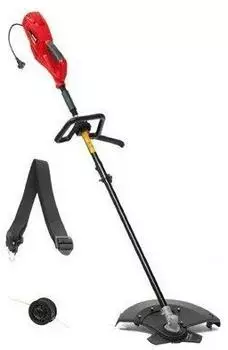 MTD EB 1000