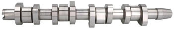 Kolbenschmidt Nockenwelle (50006342)