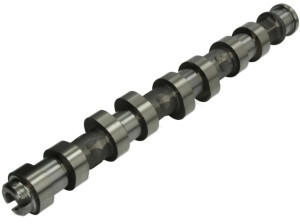 Kolbenschmidt Nockenwelle (50006151)