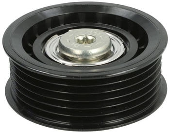 Ina Umlenk-/Führungsrolle Ø69,5mm 69,5mm für FORD JAGUAR 532 0471 10