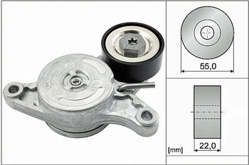 Ina Riemenspanner 55mm für LEXUS MINI TOYOTA BMW 534 0420 10