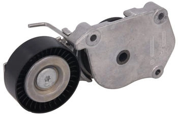 Ina Riemenspanner 70mm für MINI BMW 534 0160 10