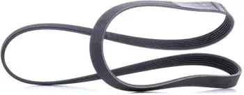 Continental CTAM Keilrippenriemen 6PK1468