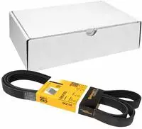 Continental Ctam Keilrippenriemen 6PK2155