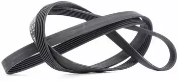 Continental CTAM Keilrippenriemen 6PK2345